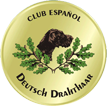 club del deustsch drahthaar